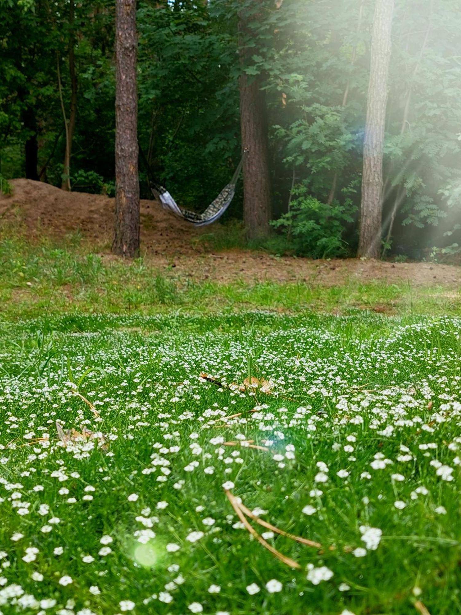 Forrest Style Pokoje Goscinne Varsó Kültér fotó
